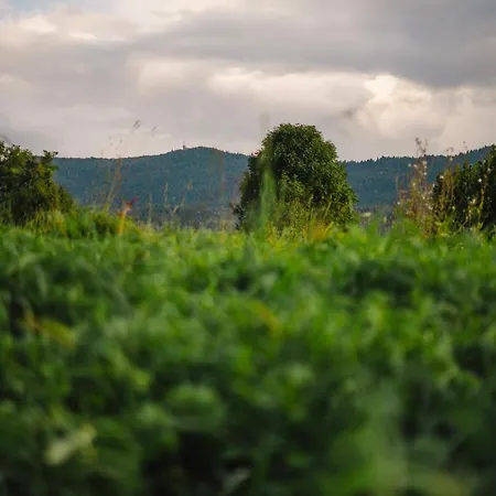 Pod Szczeblem Horská chata Lubień