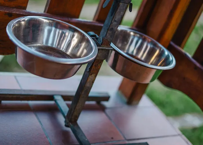 Pod Szczeblem Chalet